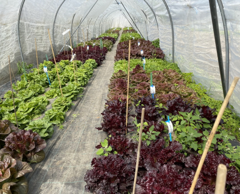 lehrfahrt2022 (23) lehrfahrt2022 23