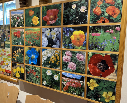 lehrfahrt2022 (34) lehrfahrt2022 34