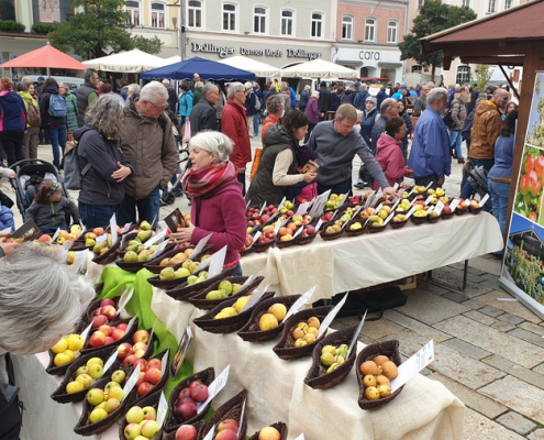 apfelmarkt22 10