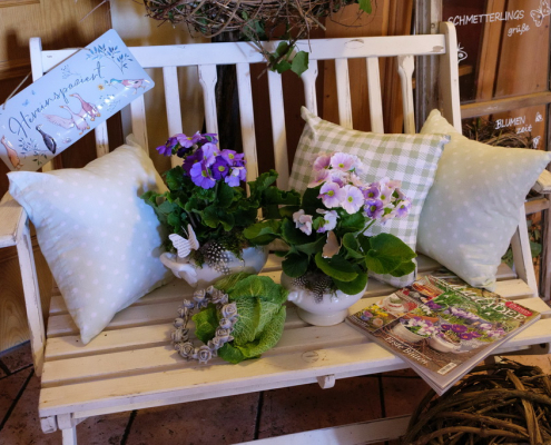 240221 (14) 240221 14