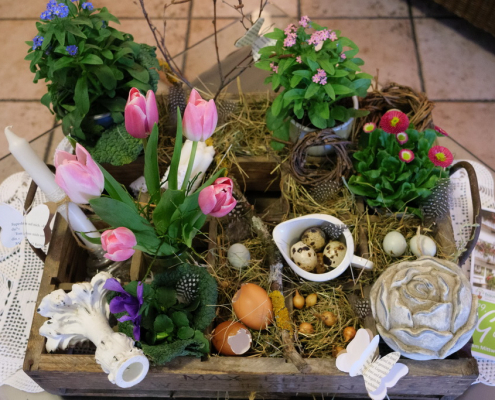 240221 (15) 240221 15